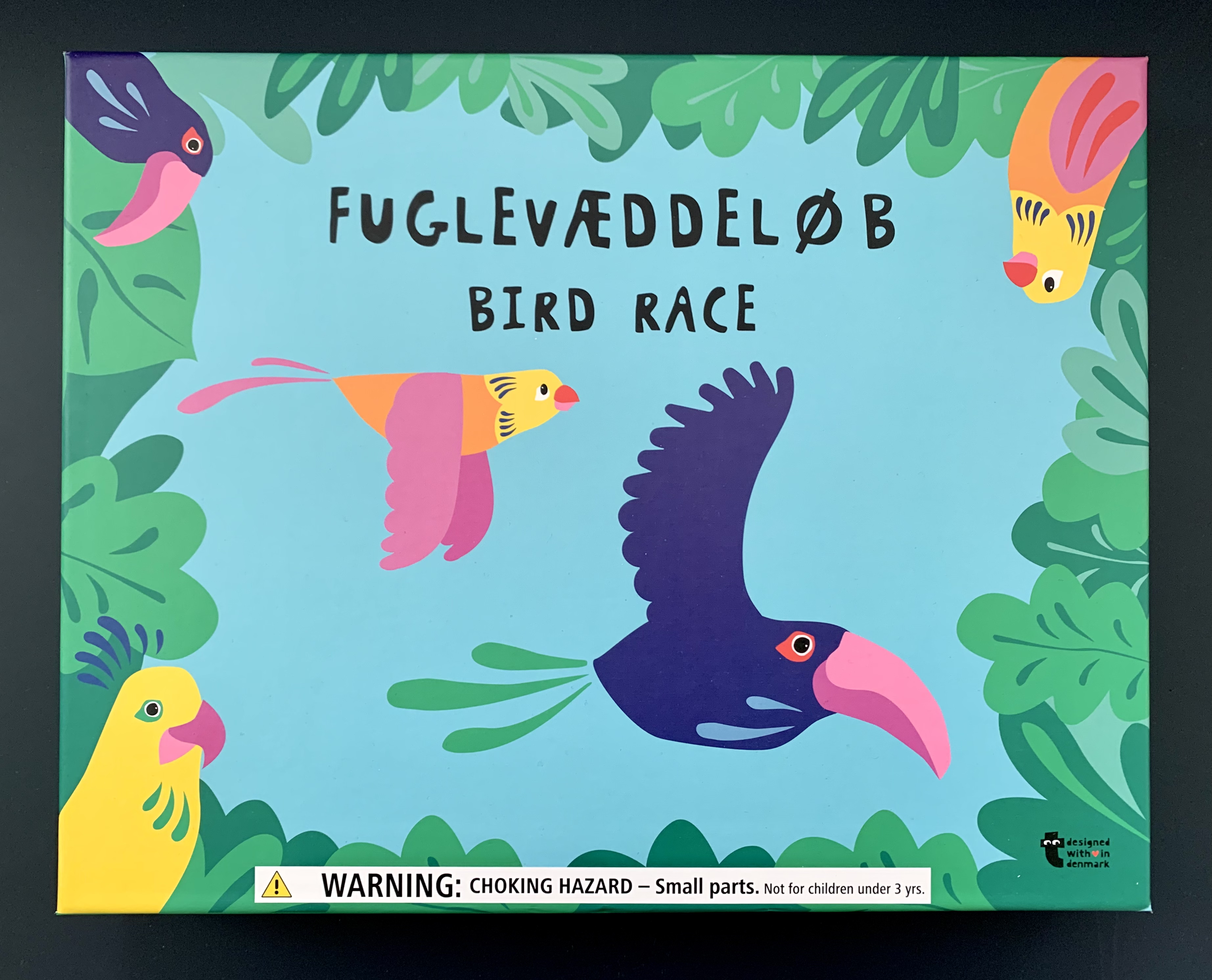Bird Race board game box top