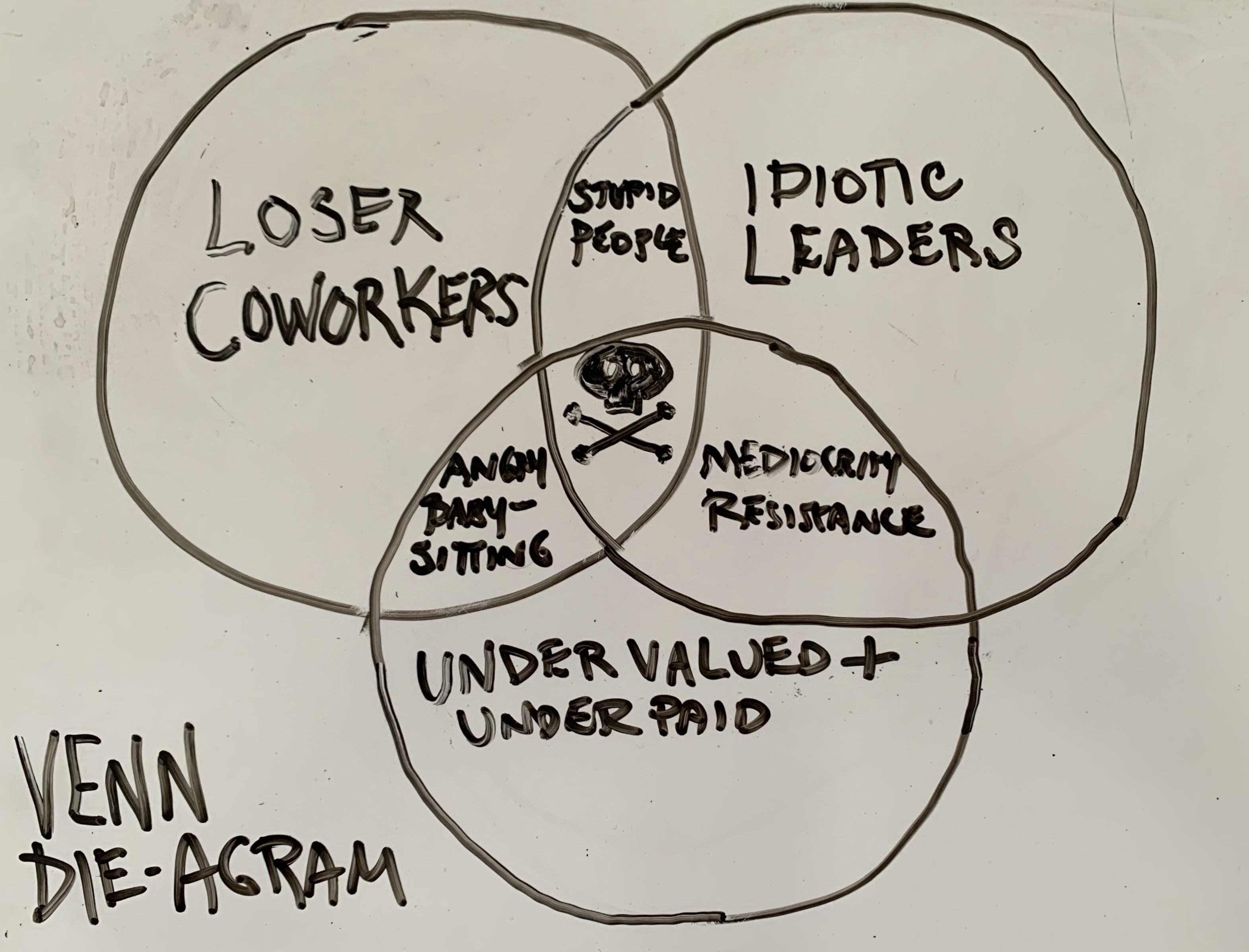 Venn diagram with a subversive twist